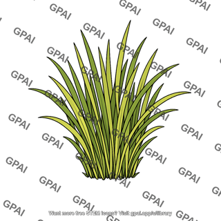 Saltmarsh grass