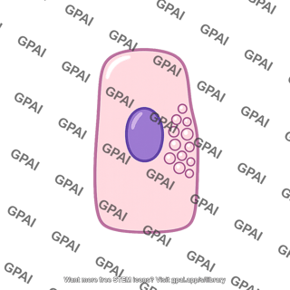 Endocrine cell columnar