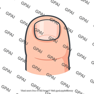 Human toe