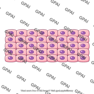 Normal tissue