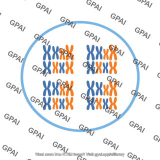Polyploidy