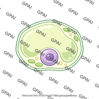 Tobacco cell