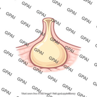 Skin gland