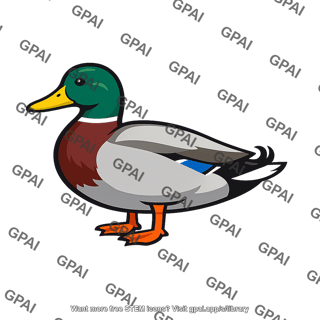 Mallard duck