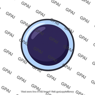 Lymphocyte