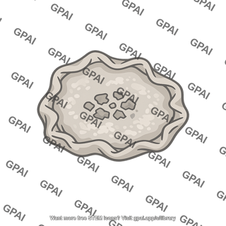 Collapsed plant cell