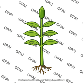 Plant sporophyte