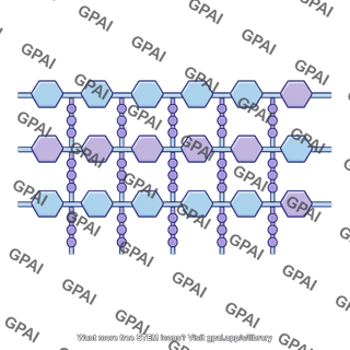Peptidoglycan