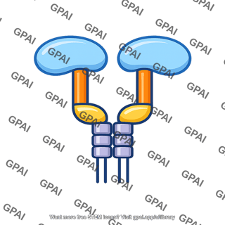 Rtk receptor dimer