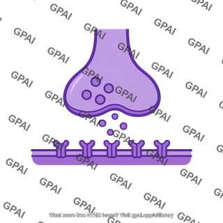 Chemical synapse