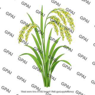Rice plant