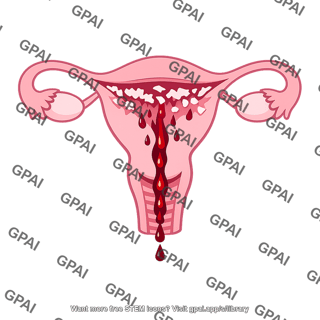 Menstrual flow phase