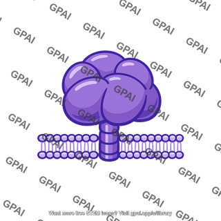 Ced 9 protein active