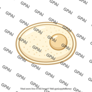 Yeast