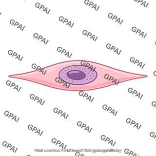 Cell elongated