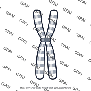Stylized chromosome