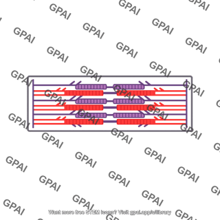 Sarcomere contracted