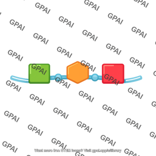 Codon
