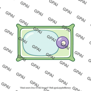Plant cell totipotent