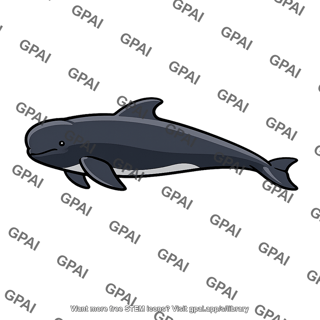 Short-finned pilot whale