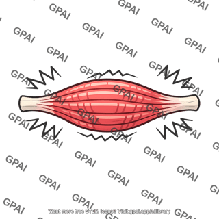 Contracted skeletal muscle