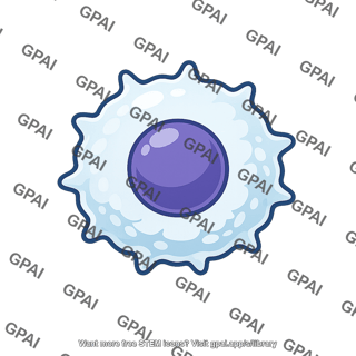 Immune cell