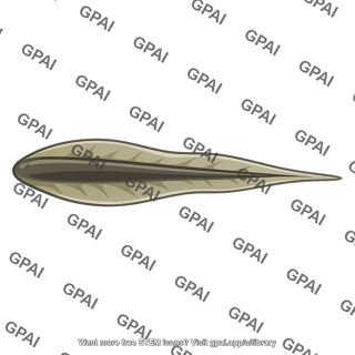 Tail tadpole