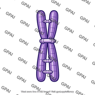 Sister chromatid cohesion