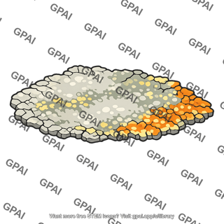 Crustose lichen