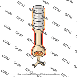 Rod cell depolarized