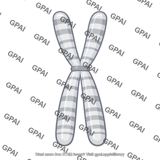Chromosome
