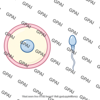 Egg and sperm comparison
