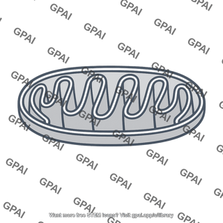 Inner membrane mitochondrion