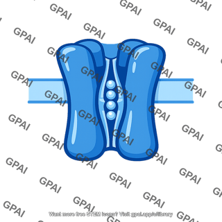 Calcium channel protein