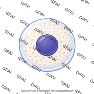 Cultured cell rounded