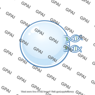 Bead with dna