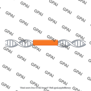 Dna gene segment