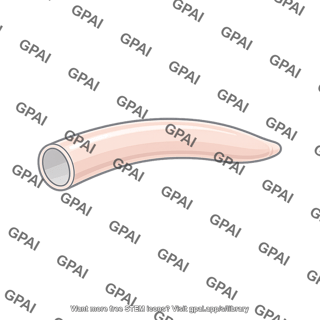 Worm cuticle