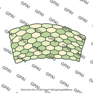 Plant tissue