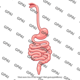 Vertebrate digestive tract