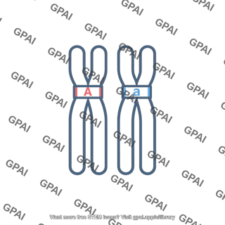 Heterozygote
