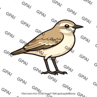 Desert bird