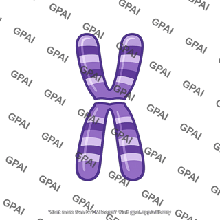 Chromosome