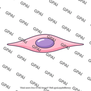 Skin fibroblast cell differentiated