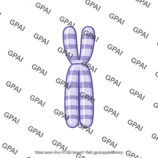 Chromosome