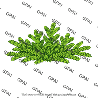 Spikemoss vegetative