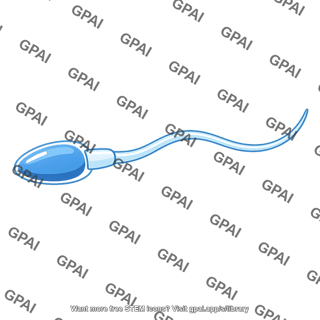Sperm cell