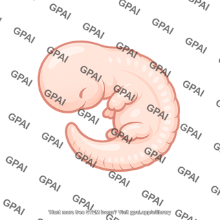 Animal embryo curled vertebrate