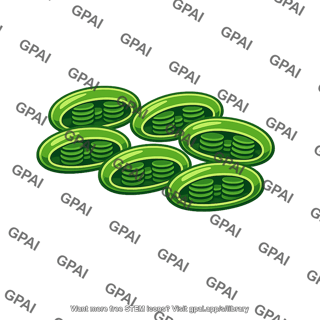 Chloroplasts