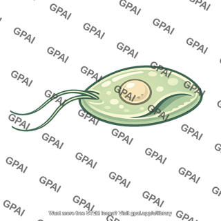 Excavata cell